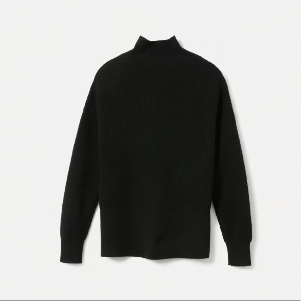 Everlane Black Cashmere Waffle Square Turtleneck